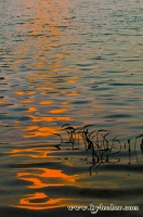 Sunset on the Water